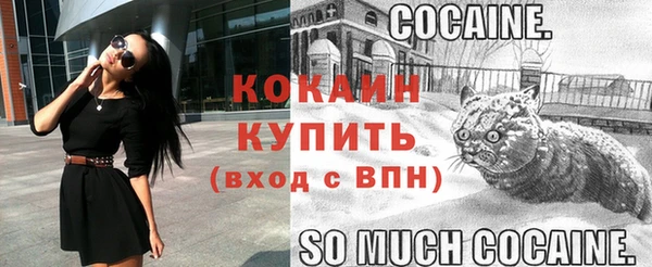 стаф Лабытнанги
