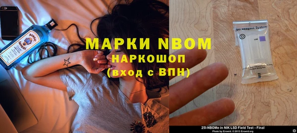 дмт Краснослободск