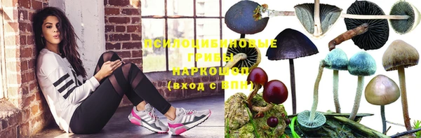 дмт Краснослободск