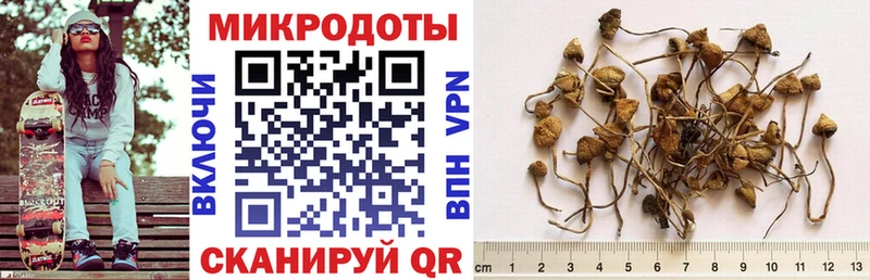 Купить закладки  Жуков  Псилоцибиновые грибы Cubensis 